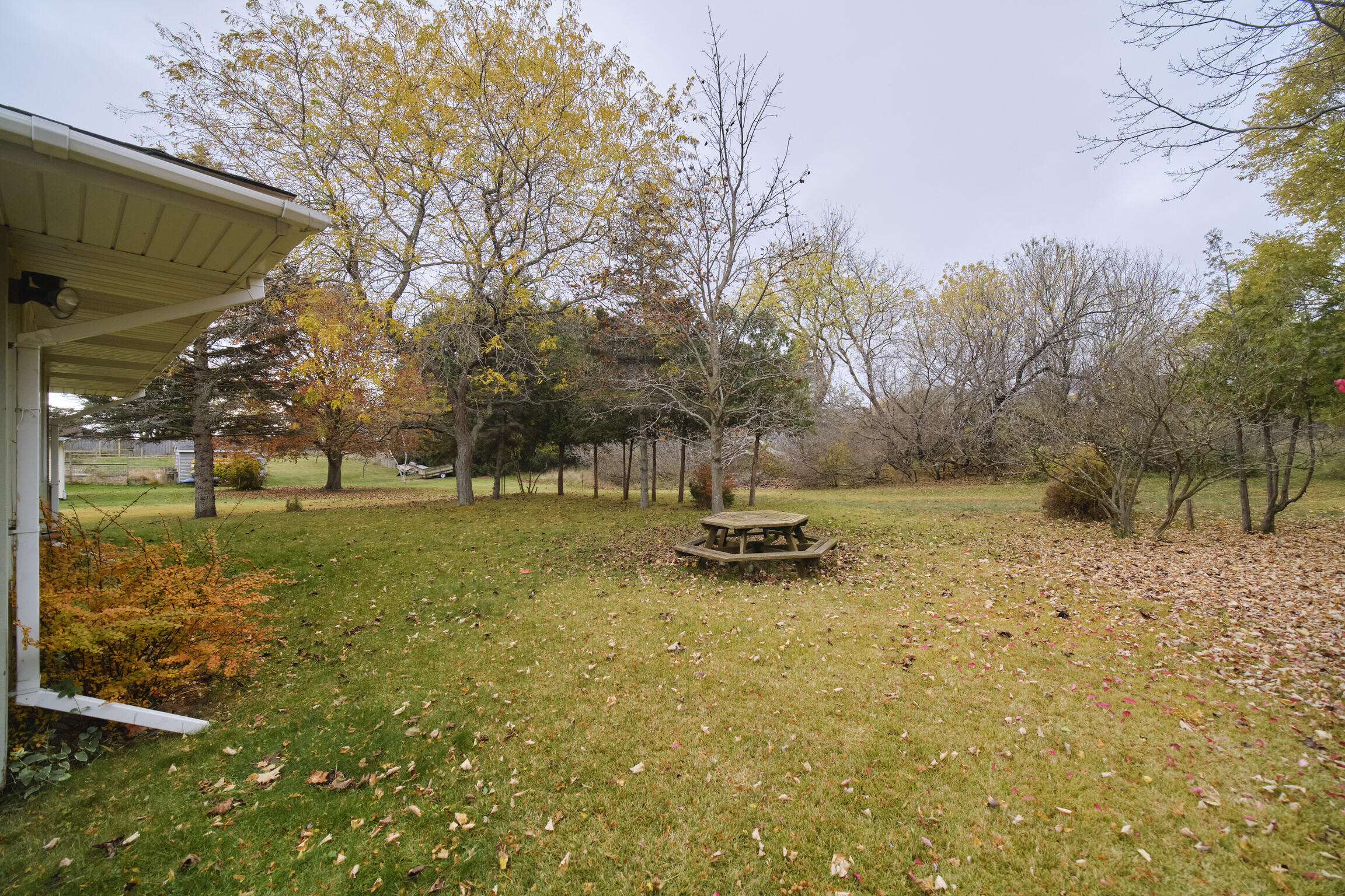 820 Robinson Street Manistee, MI 49660 - Photo 32 of 37 Back Yard