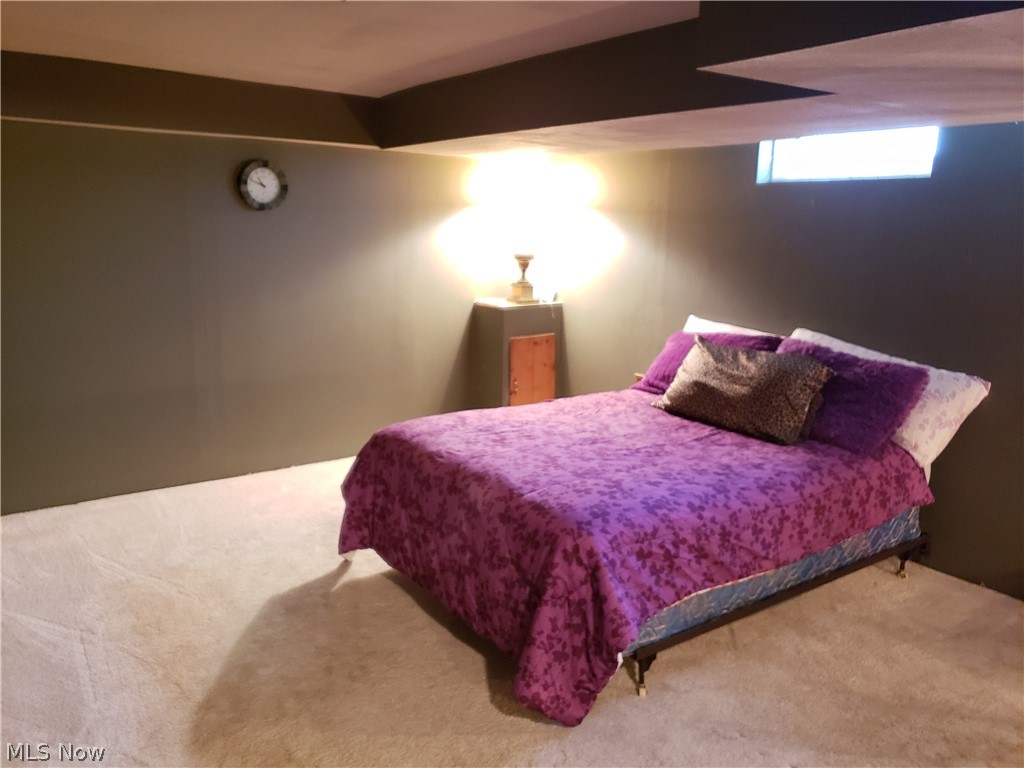 539 Dickerson Road Willowick, OH 44095 - Photo 20 of 25 Gallery Image 20