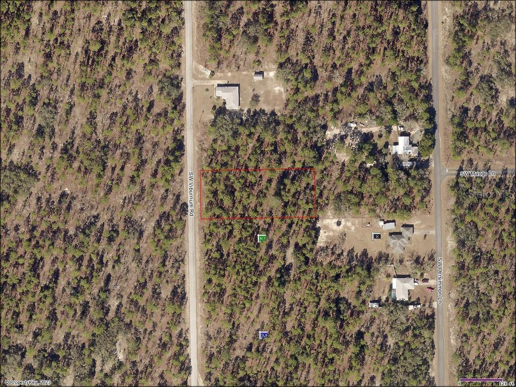 Tbd Southwest Tbd Sw Viburnam Road Dunnellon, FL 34431 - Photo 1 of 1