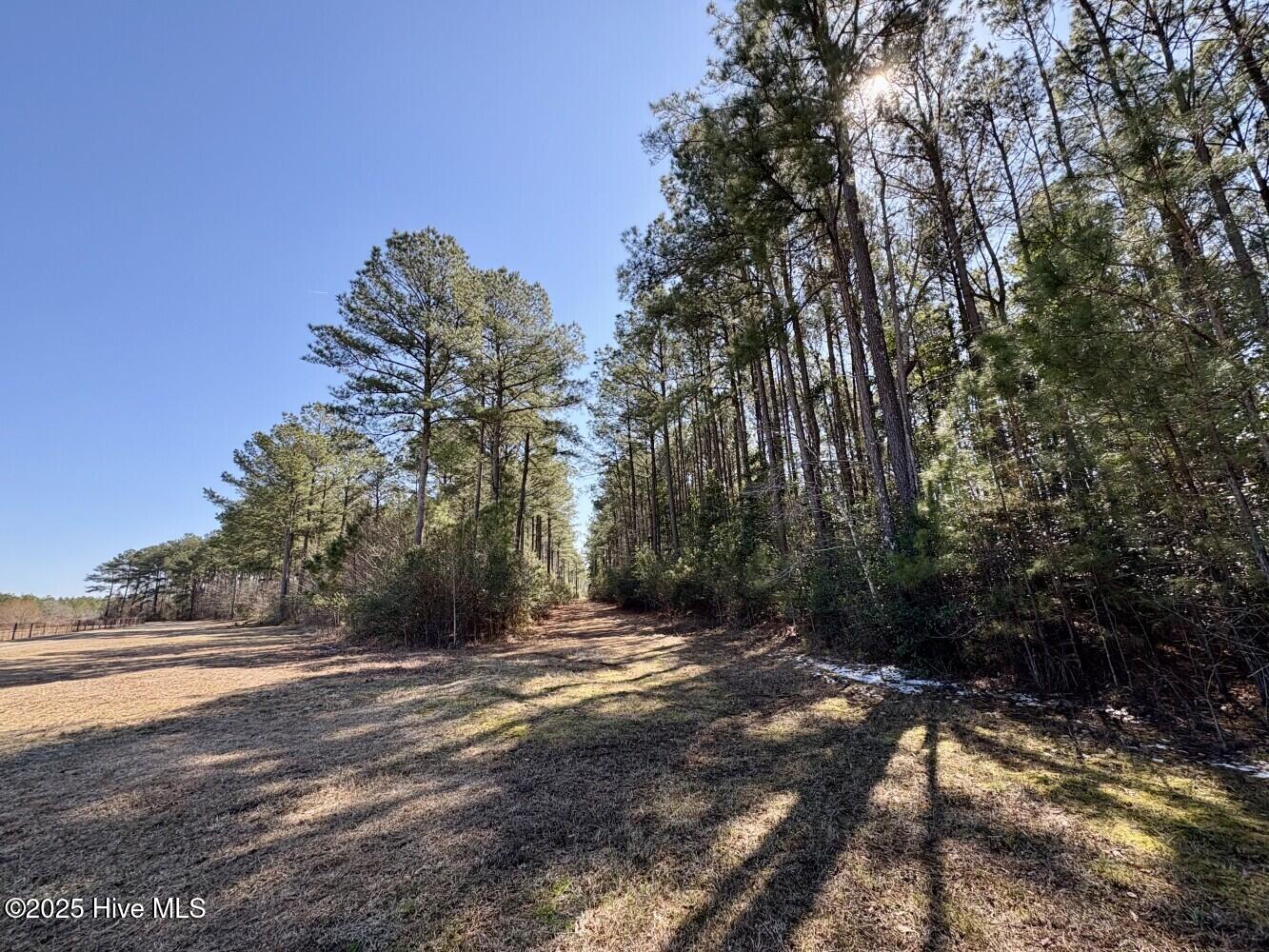 6494 River Road Vanceboro, NC 28586 - Photo 35 of 46 6824a00263ce2