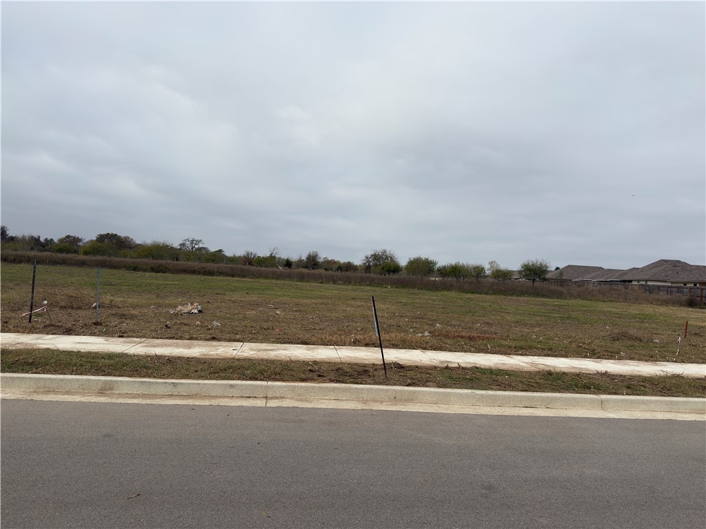 5502 Harriet Street Bryan, TX 77807 - Photo 2 of 6 a view of lake