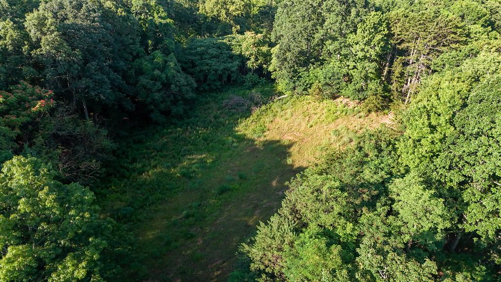 0 Mount Calvary Church Road Stuart, VA 24171 - Photo 5 of 13 Gallery Image 5