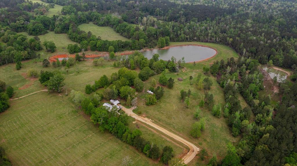 14199 Martin Road Folsom, LA 70437 - Photo 24 of 27