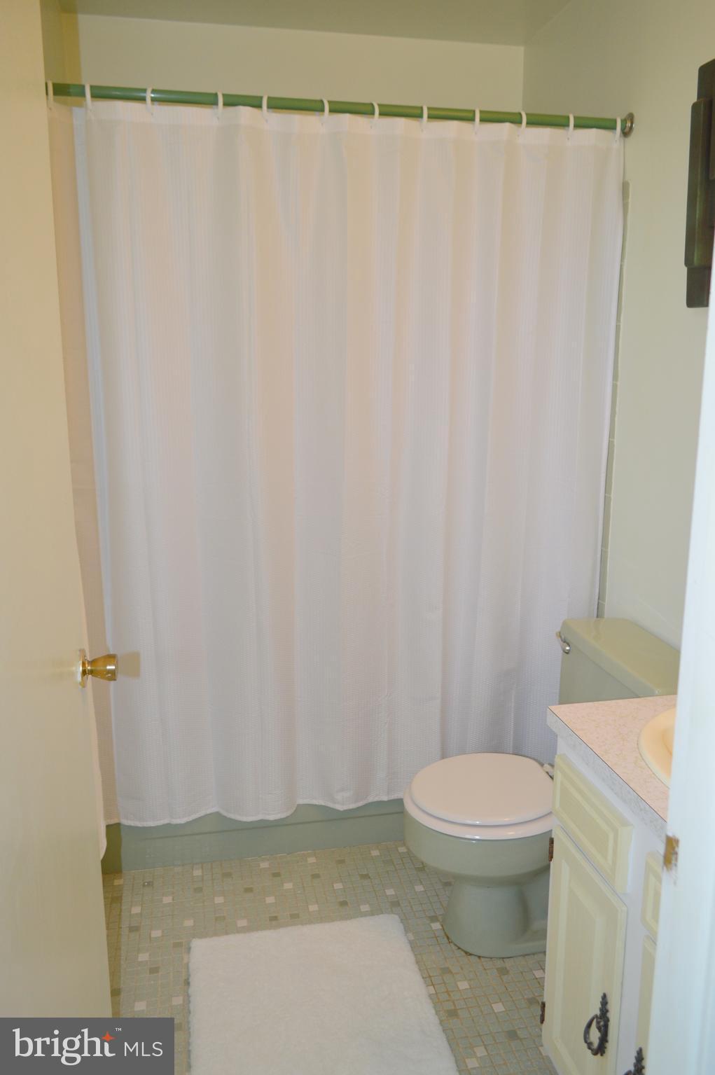 526 Holly Hunt Road Baltimore, MD 21220 - Photo 8 of 18 a bathroom with a toilet and a shower curtain