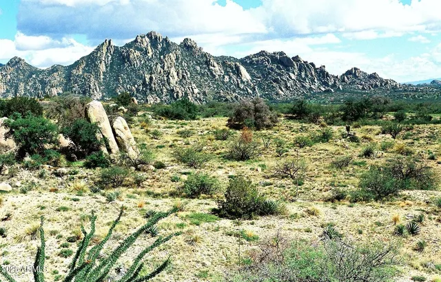a view of a bunch of trees in a field