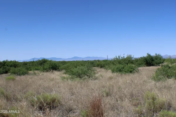 a view of a lake and green valley