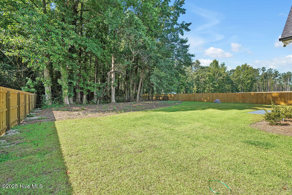 10891 Ashton Road Burgaw, NC 28425 - Photo 22 of 23 21