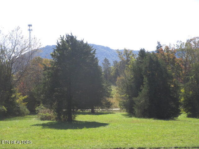 9352 Davis Drive Corryton, TN 37721 - Photo 6 of 17 IMG_4253