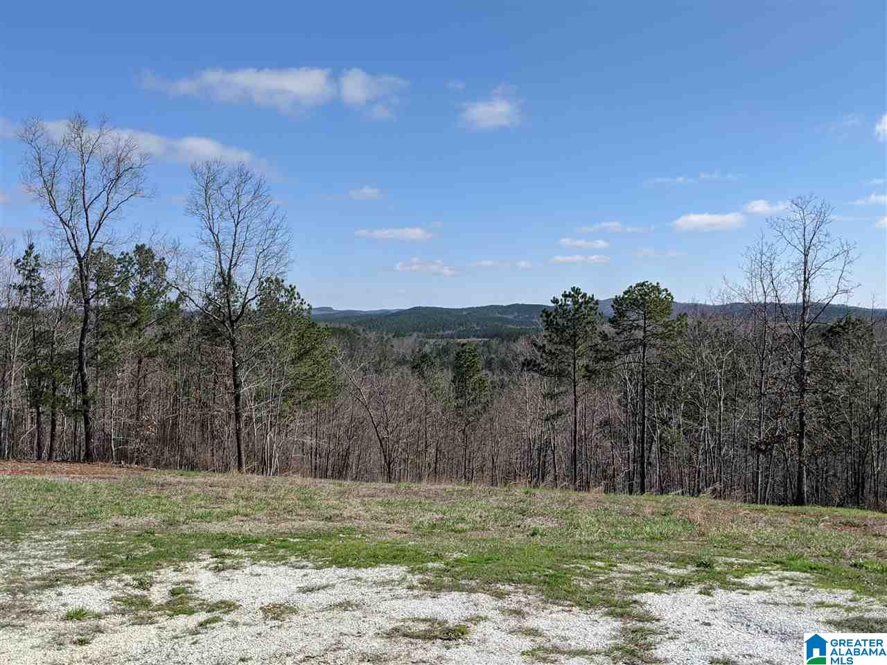 1731 Bolton Road Talladega, AL 35160 - Photo 12 of 46