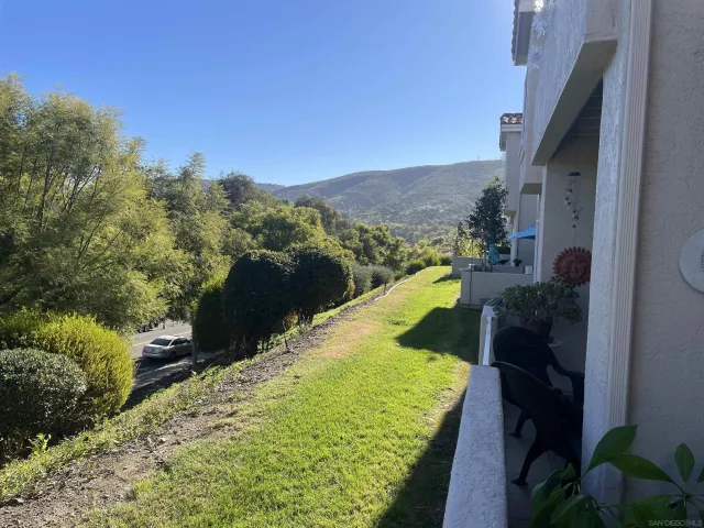 a view of a swimming pool with a yard