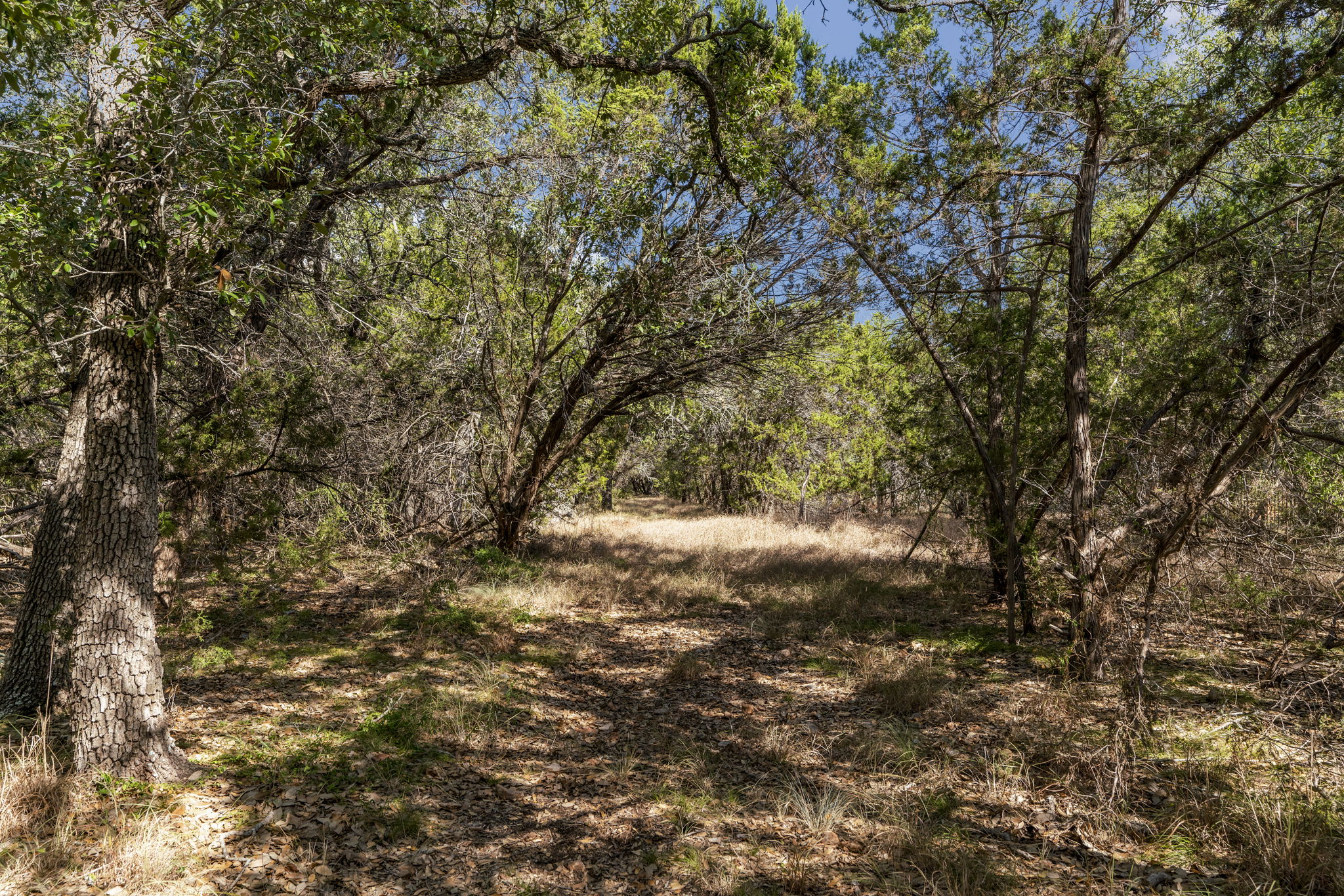1930 South Rainbow Ranch Road Wimberley, TX 78676 - Photo 19 of 40