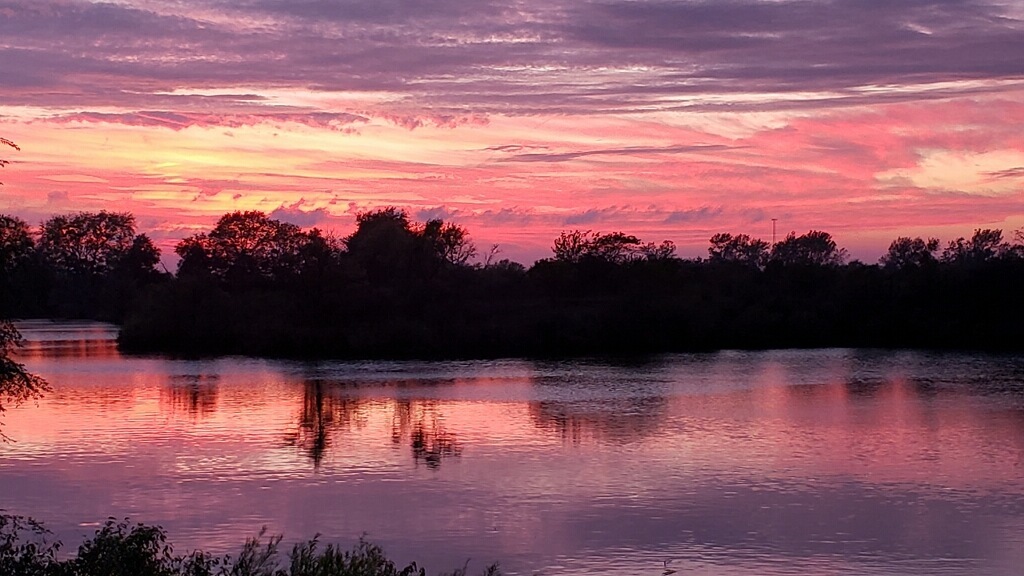 10739-451 North 1300 E Road Chenoa, IL 61726 - Photo 5 of 55 a view of swimming pool with sunset in the background