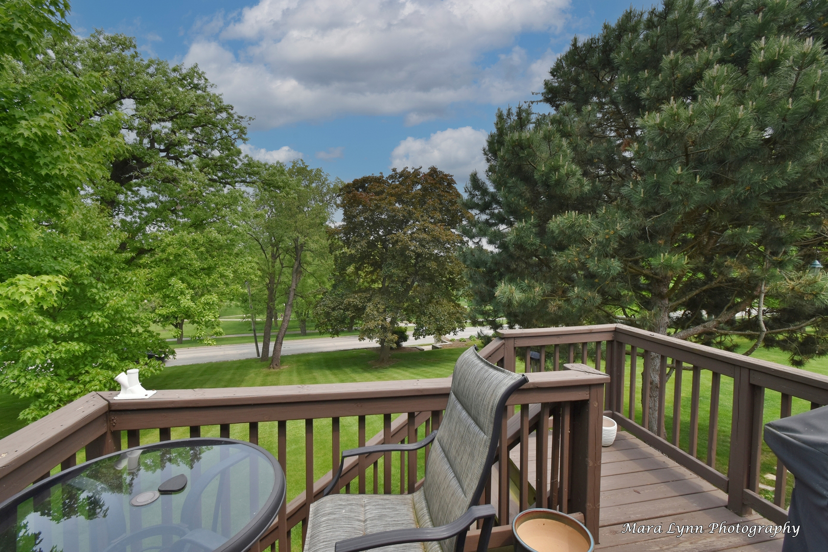 714 Viewpointe Drive St. Charles, IL 60174 - Photo 28 of 31 a view of a roof deck with wooden floor and barbeque oven
