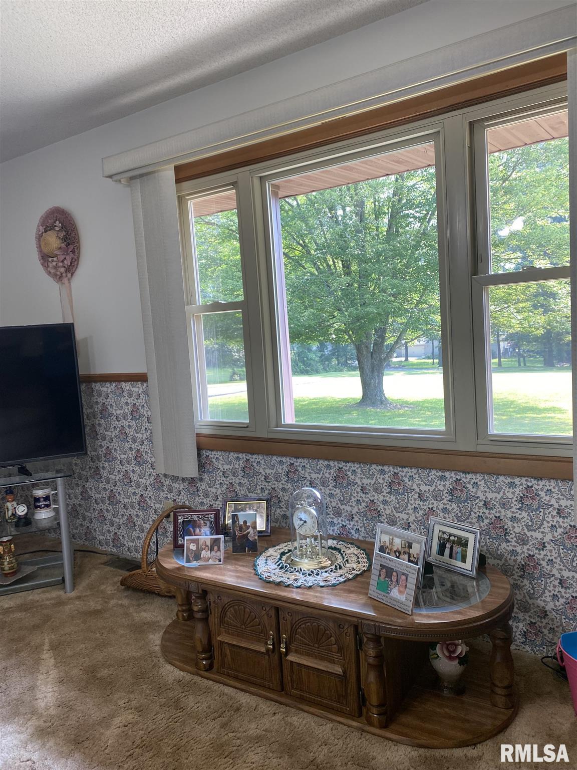 650 McDermott Road Harrisburg, IL 62946 - Photo 6 of 15 Gallery Image 6