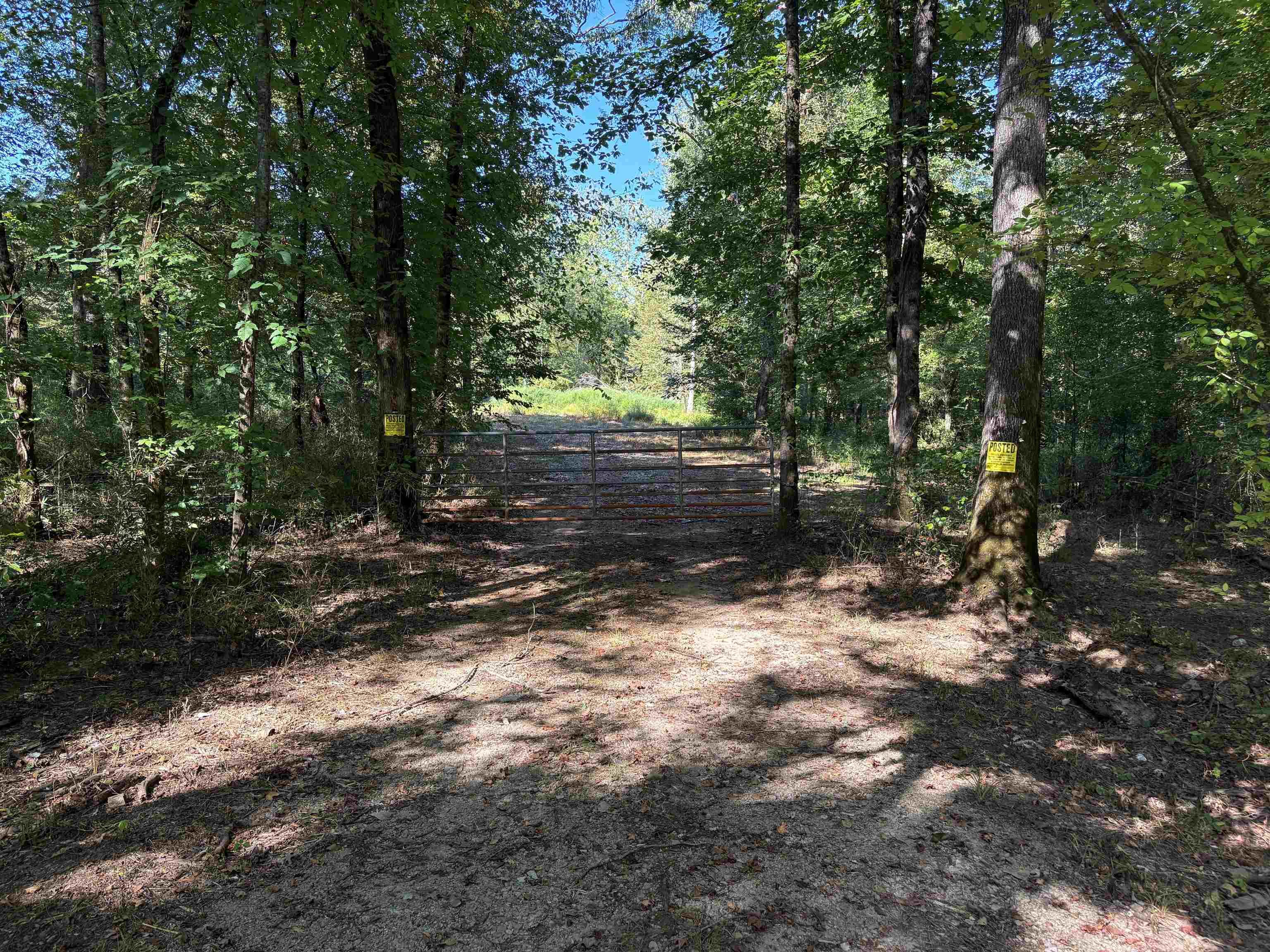 0 Peavine Road Middleton, TN 38052 - Photo 1 of 14 a view of yard