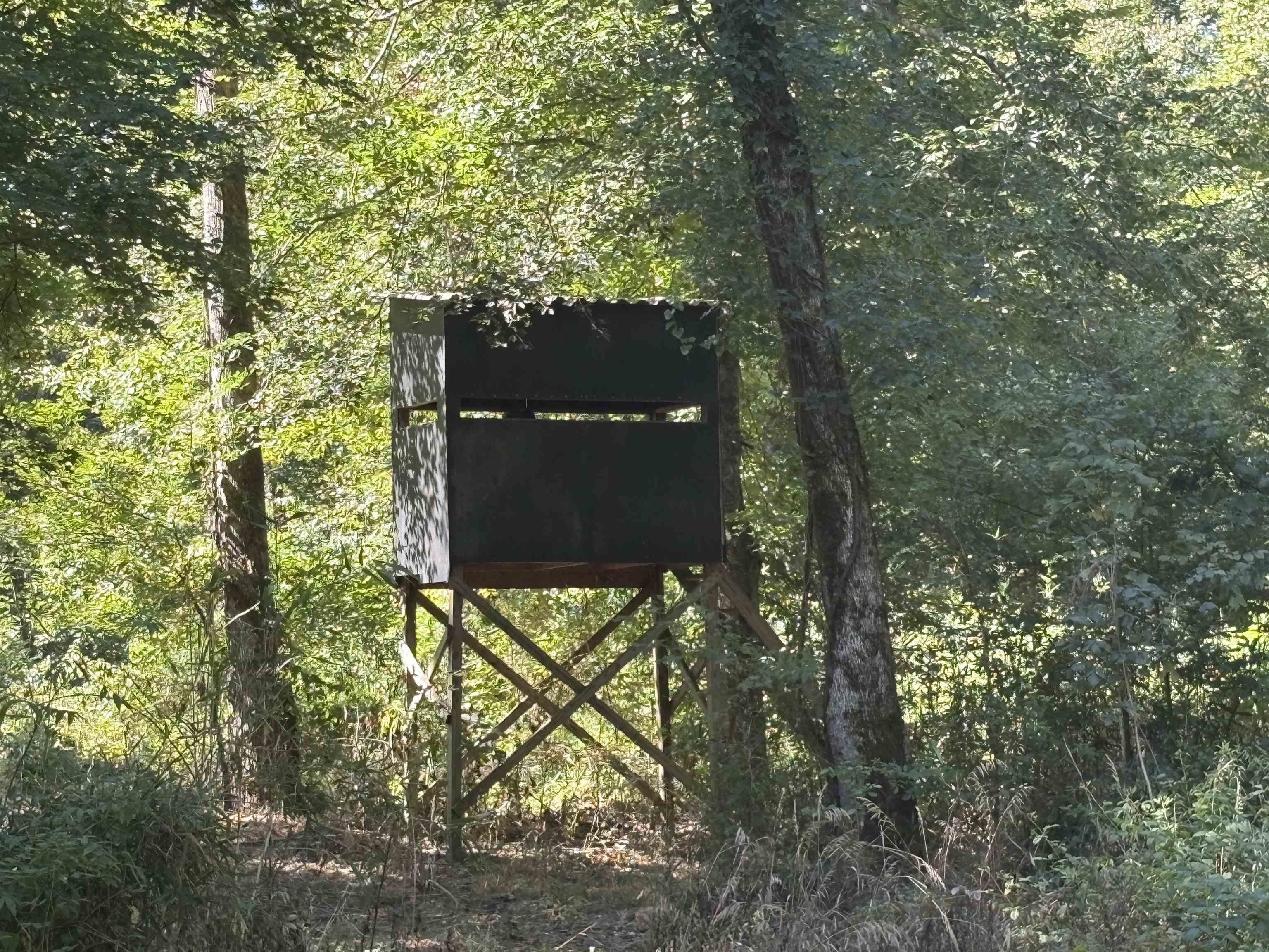 0 Peavine Road Middleton, TN 38052 - Photo 11 of 14 a view of a yard