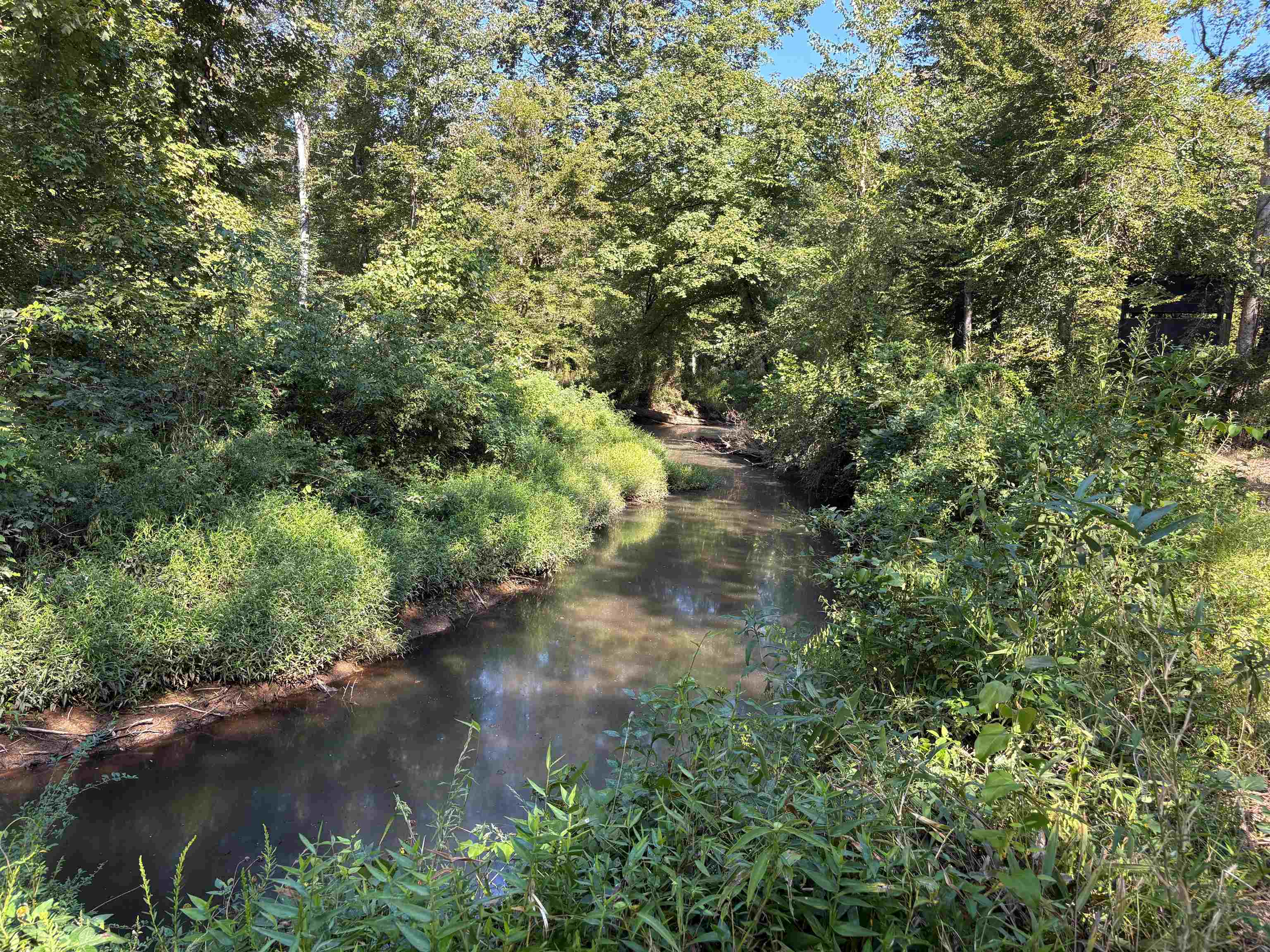 0 Peavine Road Middleton, TN 38052 - Photo 3 of 14 a view of a lake view with houses in background