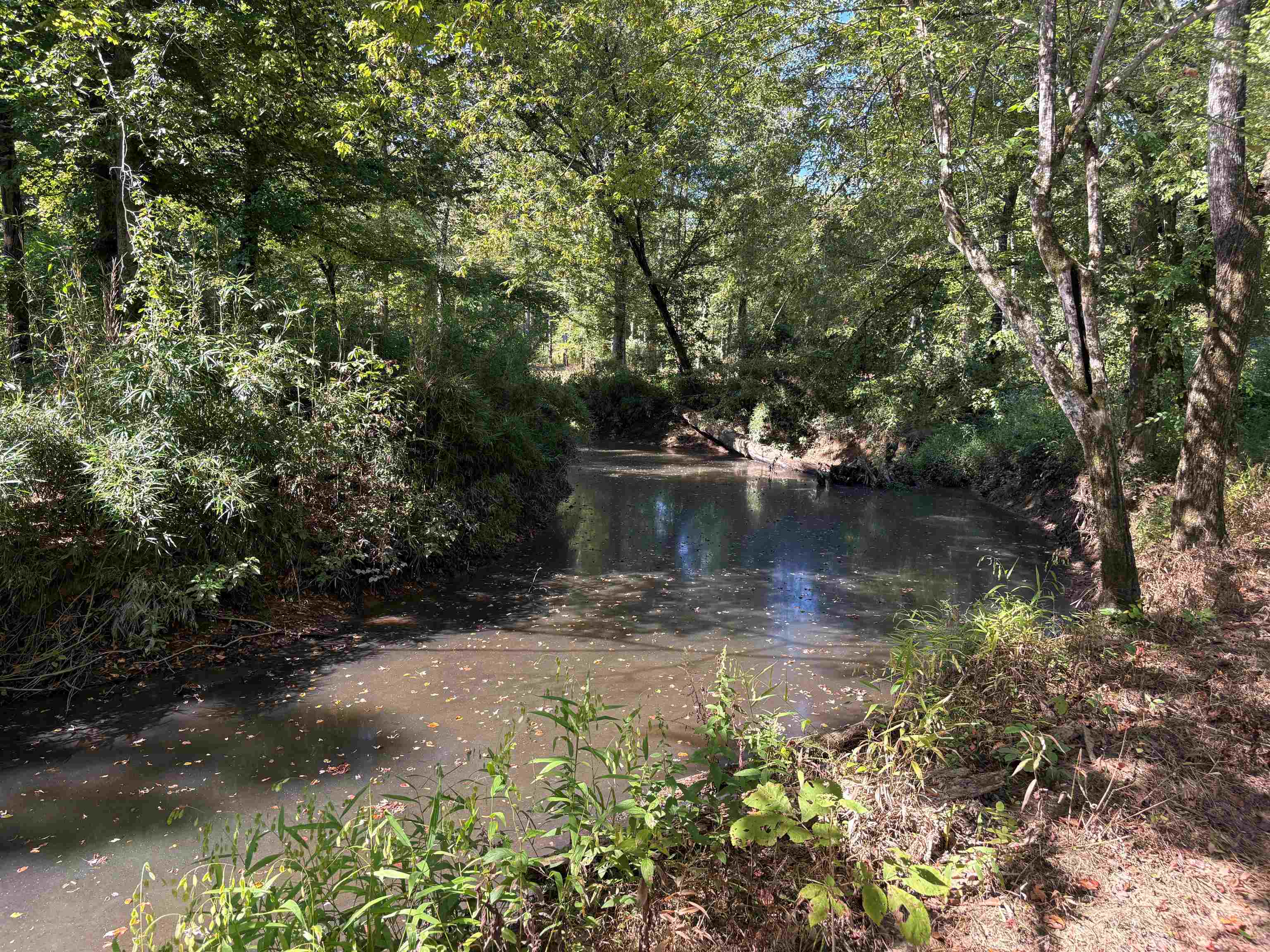 0 Peavine Road Middleton, TN 38052 - Photo 5 of 14