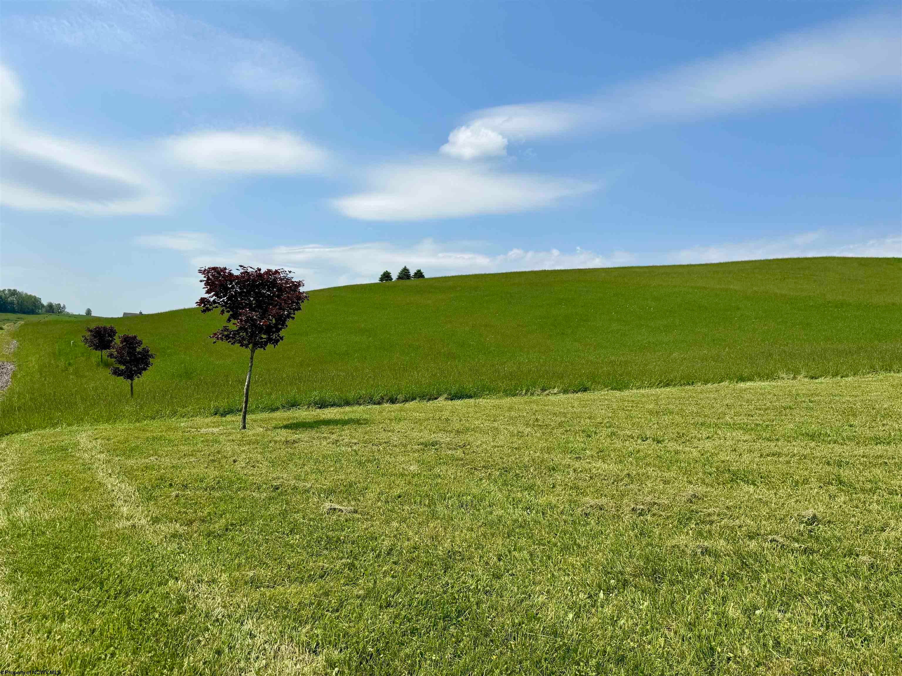 309 Sunrise Ridge Drive Reedsville, WV 26547 - Photo 11 of 46 Gallery Image 11