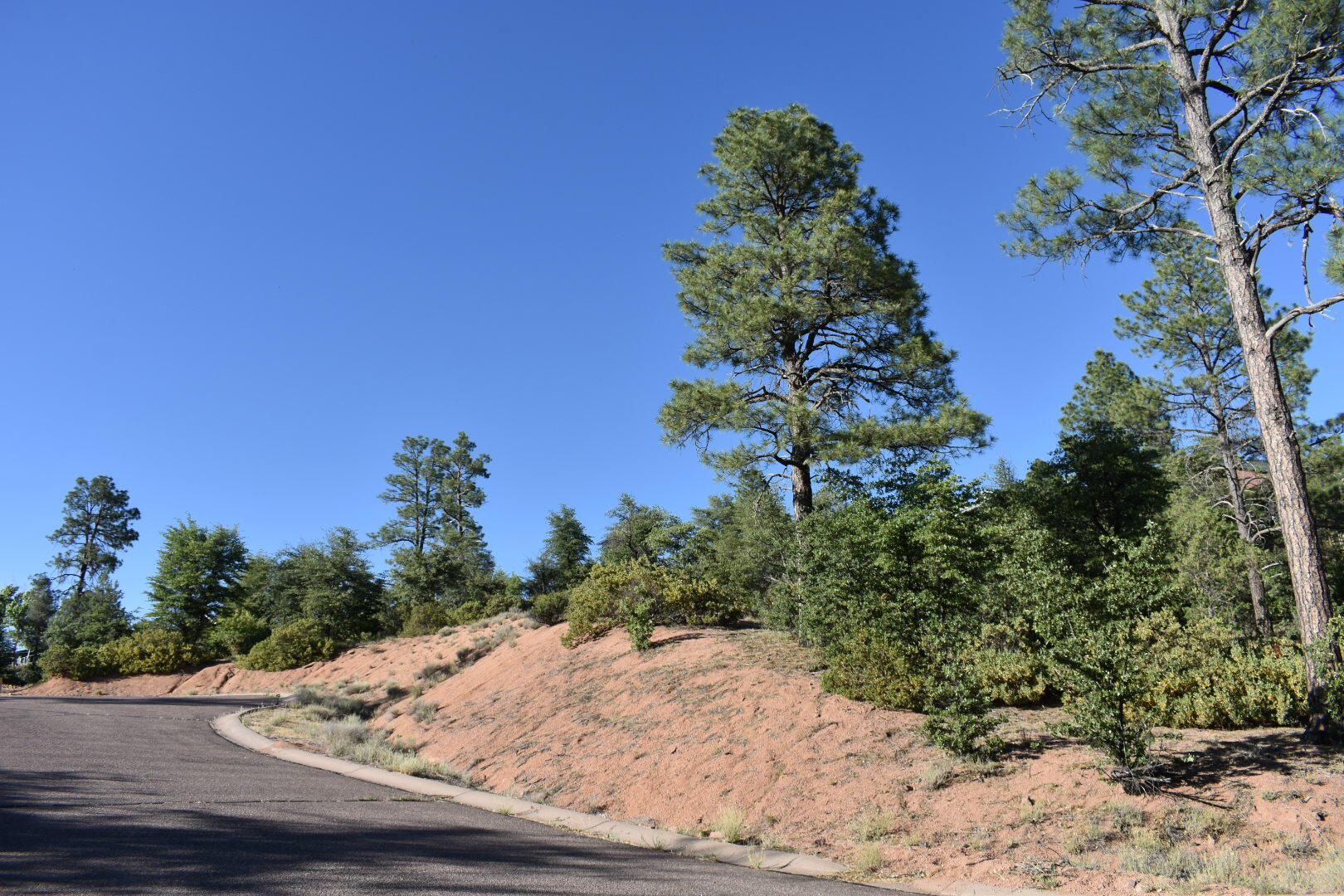 Lot 19 East Pine Ridge Drive Payson, AZ 85541 - Photo 2 of 7