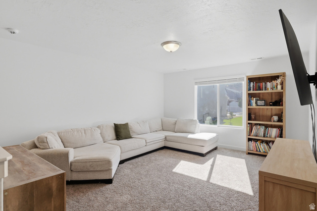 1177 South Raintree Lane Santaquin, UT 84655 - Photo 12 of 25 Window with outdoor views, light-colored walls, and textured carpeting