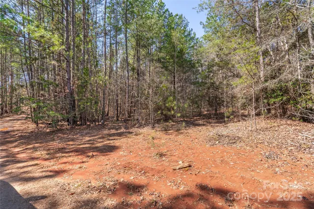 a view of a yard with trees