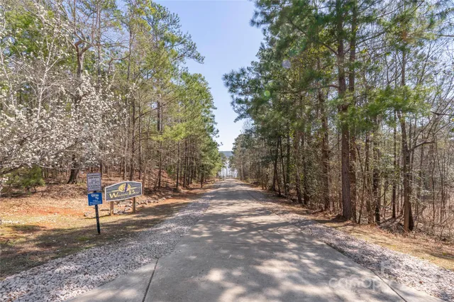 a view of a park with large trees