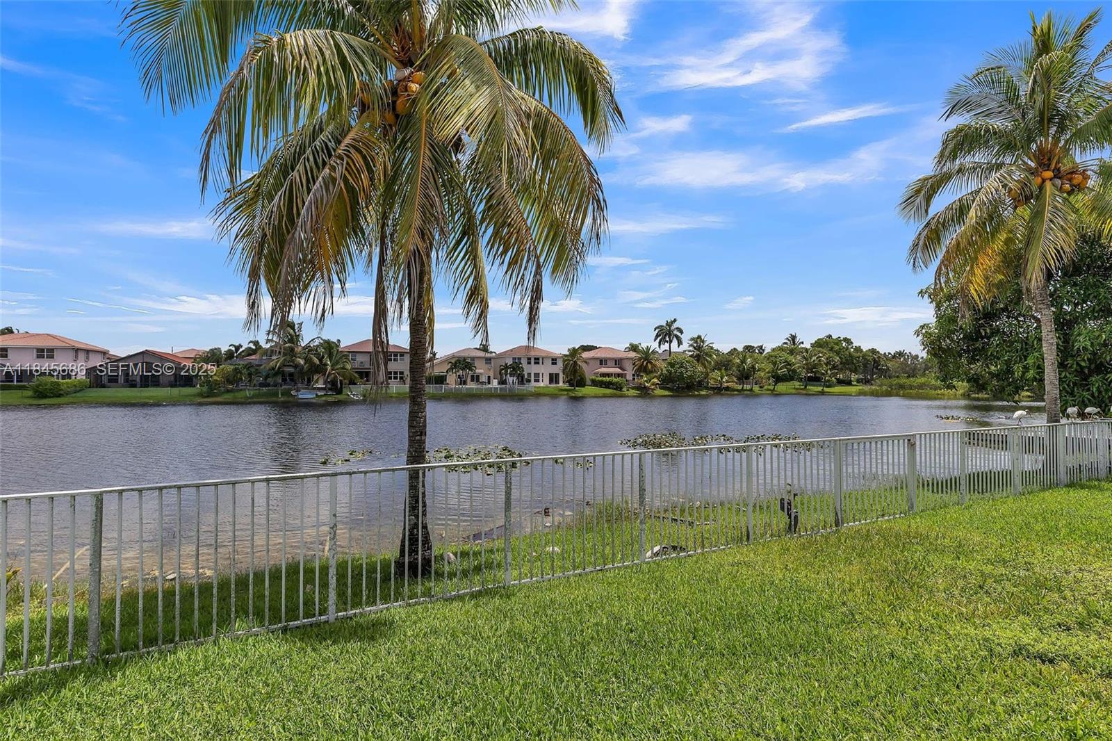 18091 Southwest 22nd Street Miramar, FL 33029 - Photo 41 of 41 a view of a lake with a palm tree