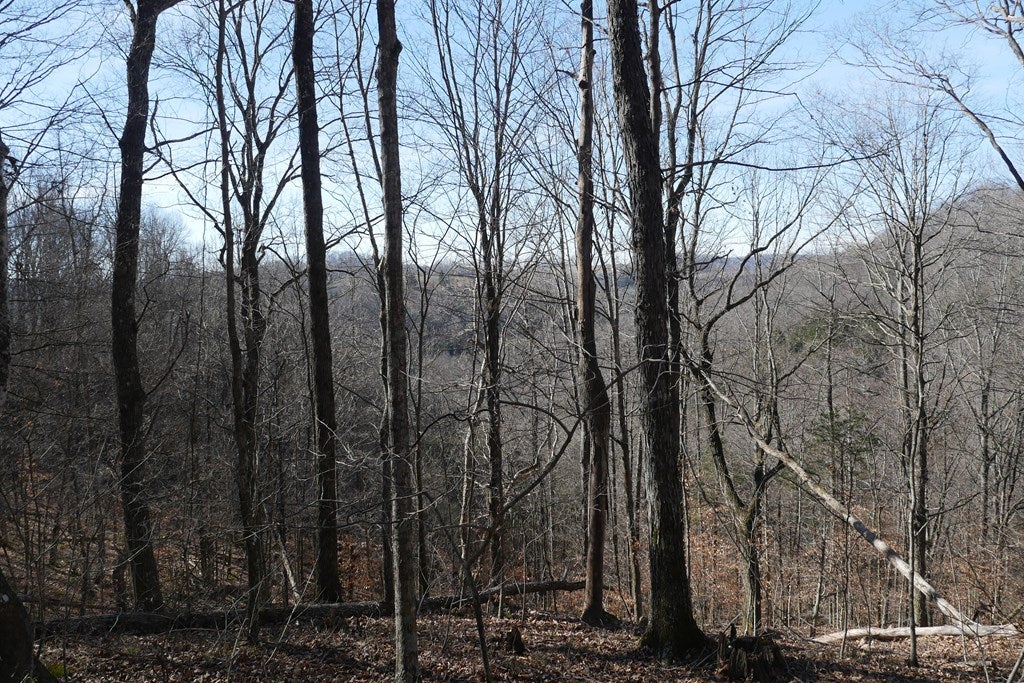 Tbd Tbd Dean Road Rose Hill, VA 24281 - Photo 75 of 97 Gallery Image 75