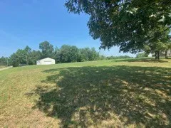 a view of a field with an trees