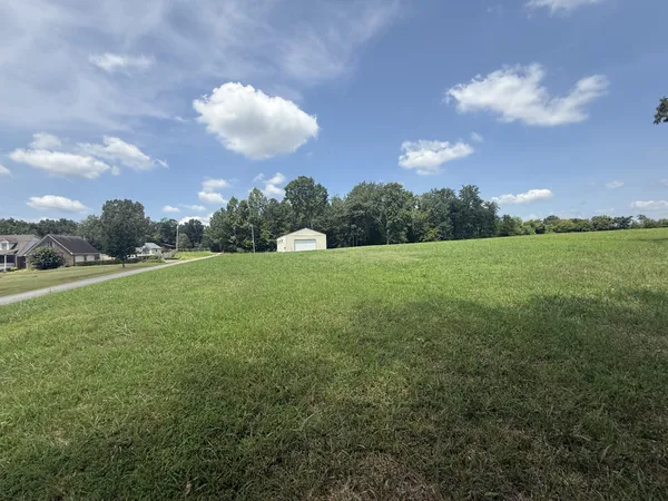 a view of a big yard with a large trees and a big yard