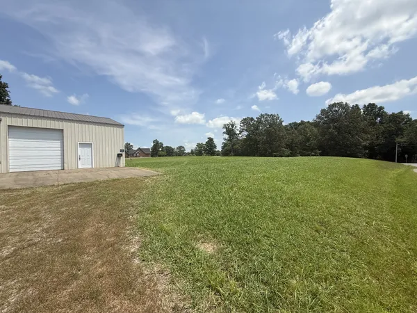 a view of a big yard with plants and a large tree