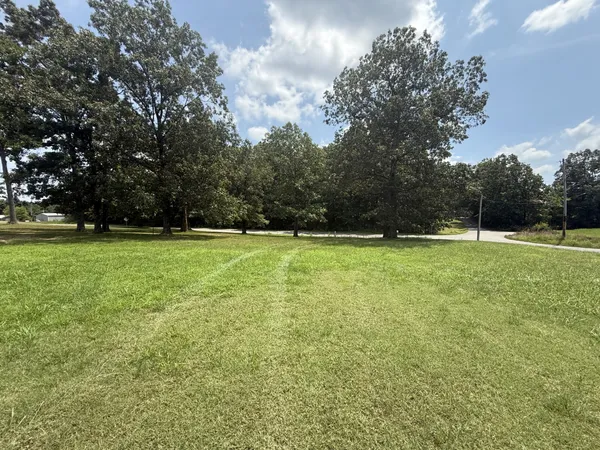 a view of outdoor space with a garden and trees