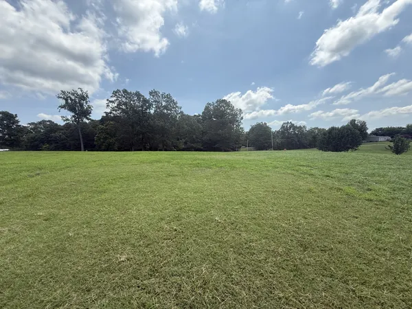 a view of a field with an ocean
