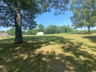 a view of outdoor space with trees all around