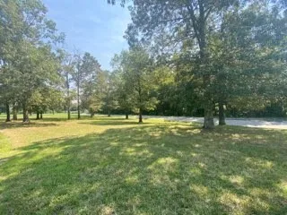a view of a house with a yard and a large tree