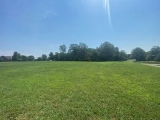 a view of a field with trees in background
