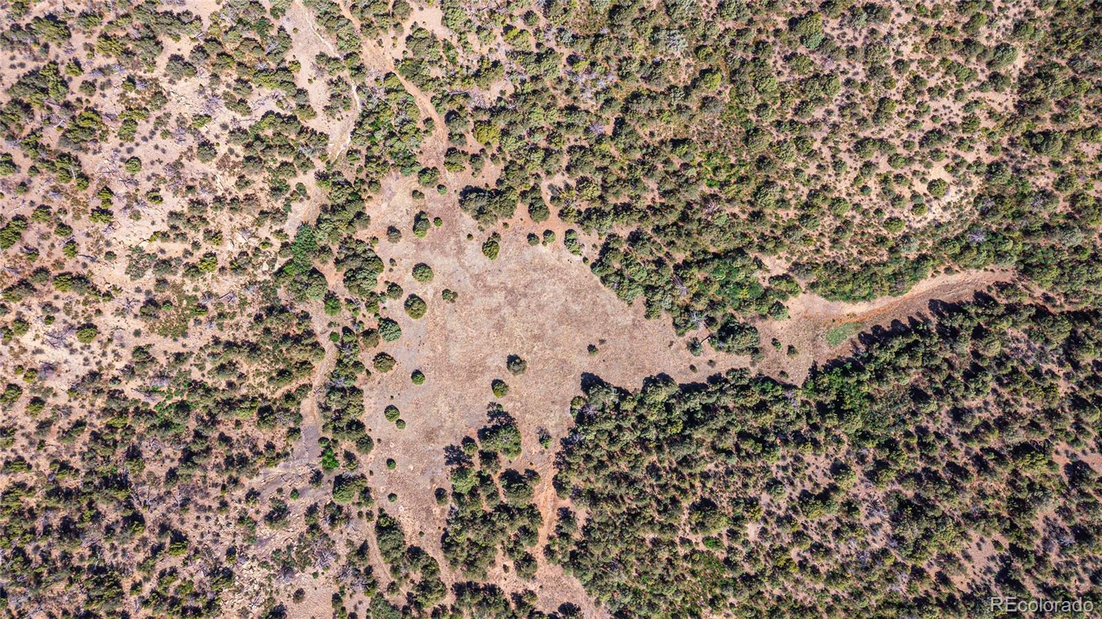 Fishers Peak Ranch Trinidad, CO 81082 - Photo 25 of 34