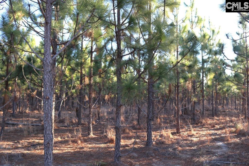 Holstein Road Wagener, SC 29164 - Photo 22 of 26