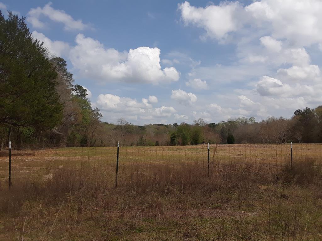 718 J P Jones Road Geneva, AL 36340 - Photo 1 of 6