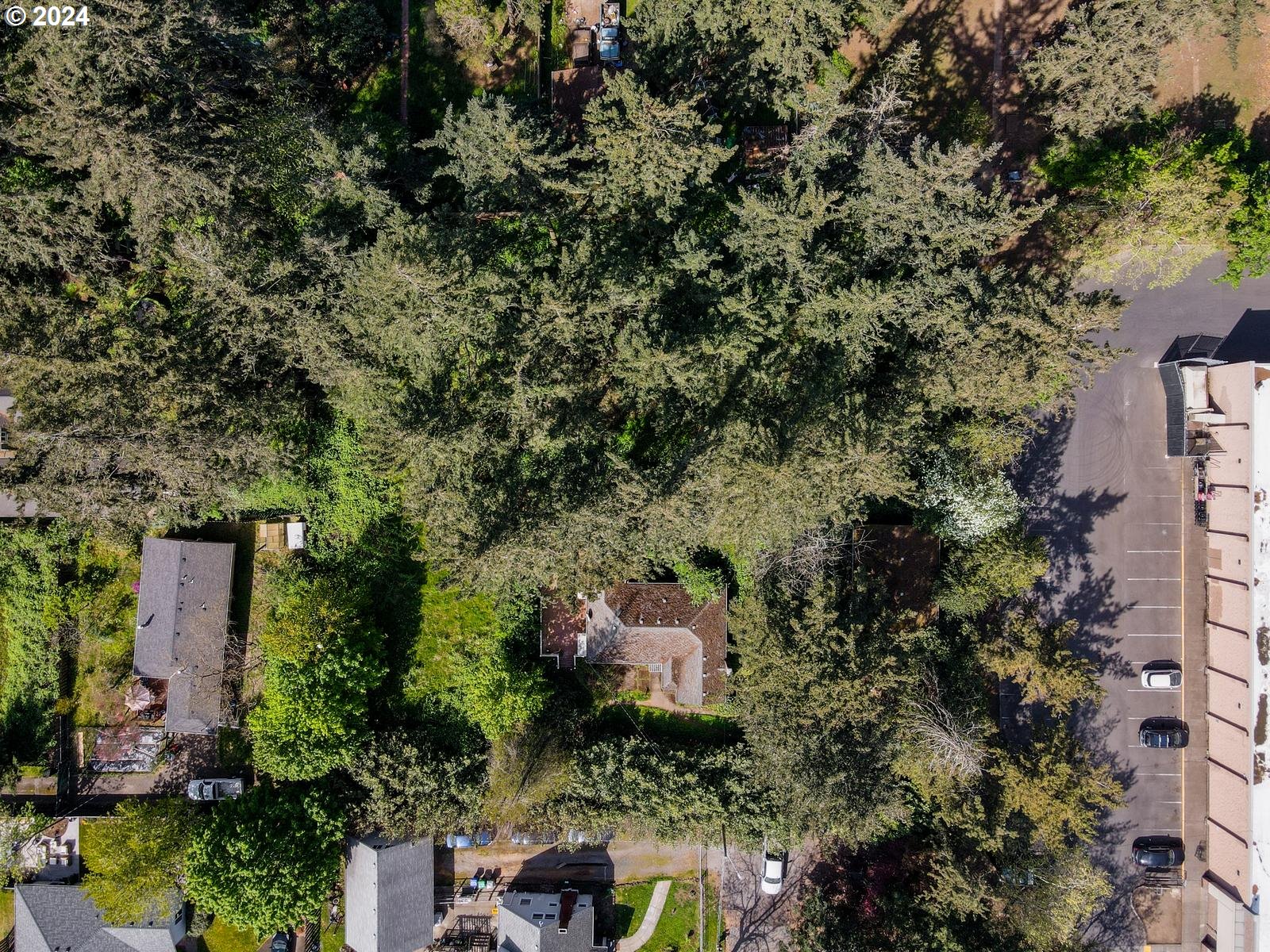 12030 Southeast Rhone Street Portland, OR 97266 - Photo 4 of 14