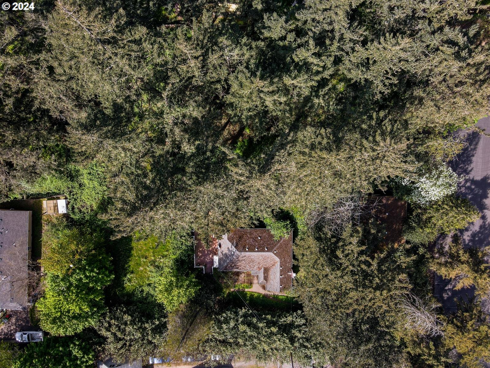 12030 Southeast Rhone Street Portland, OR 97266 - Photo 5 of 14