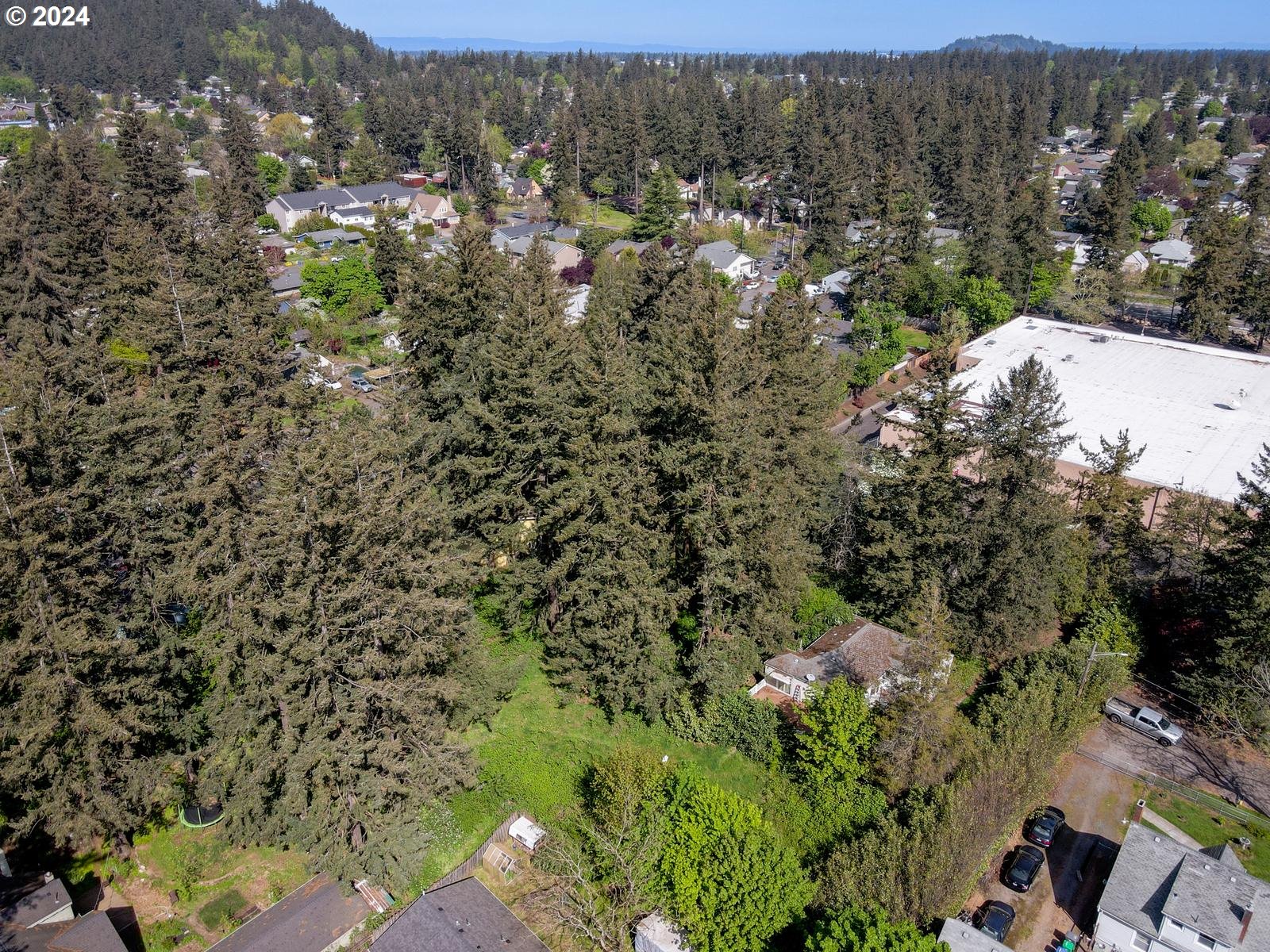 12030 Southeast Rhone Street Portland, OR 97266 - Photo 7 of 14