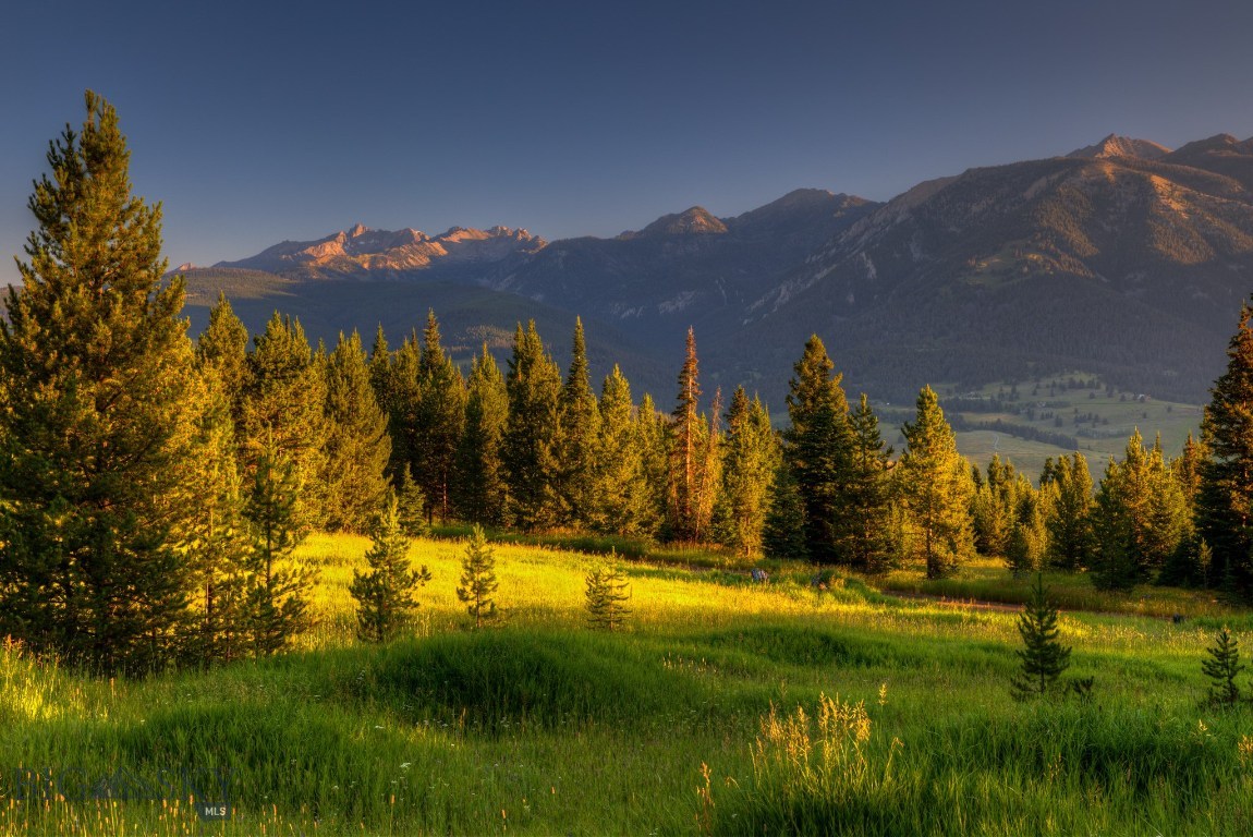 Tbd Tbd Elk Ridge Ranch Road Gallatin Gateway, MT 59730 - Photo 1 of 1 Gallery Image 1