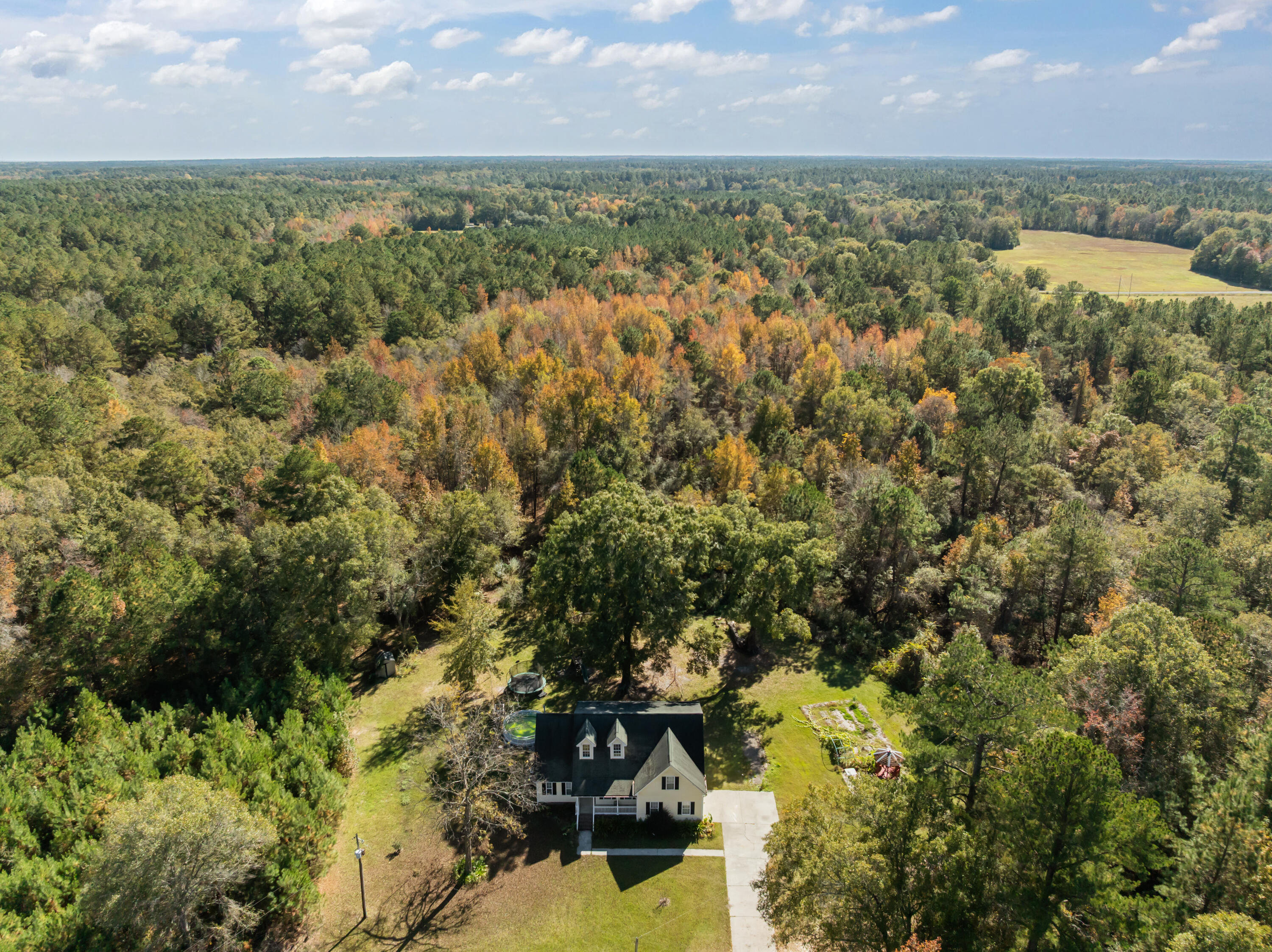 411 Fletcher Lane Walterboro, SC 29488 - Photo 32 of 38 15-print-DJI_0742