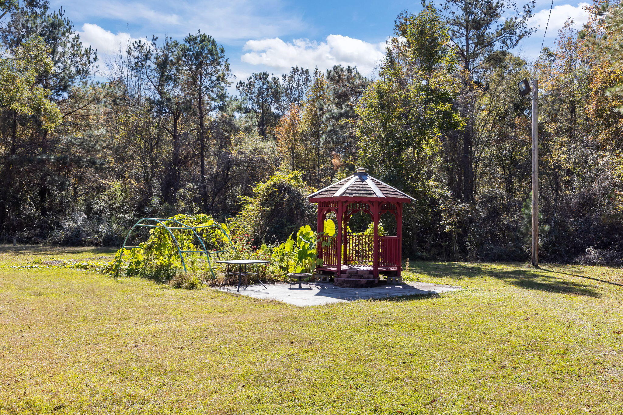 411 Fletcher Lane Walterboro, SC 29488 - Photo 36 of 38 9-web-or-mls-470A3874