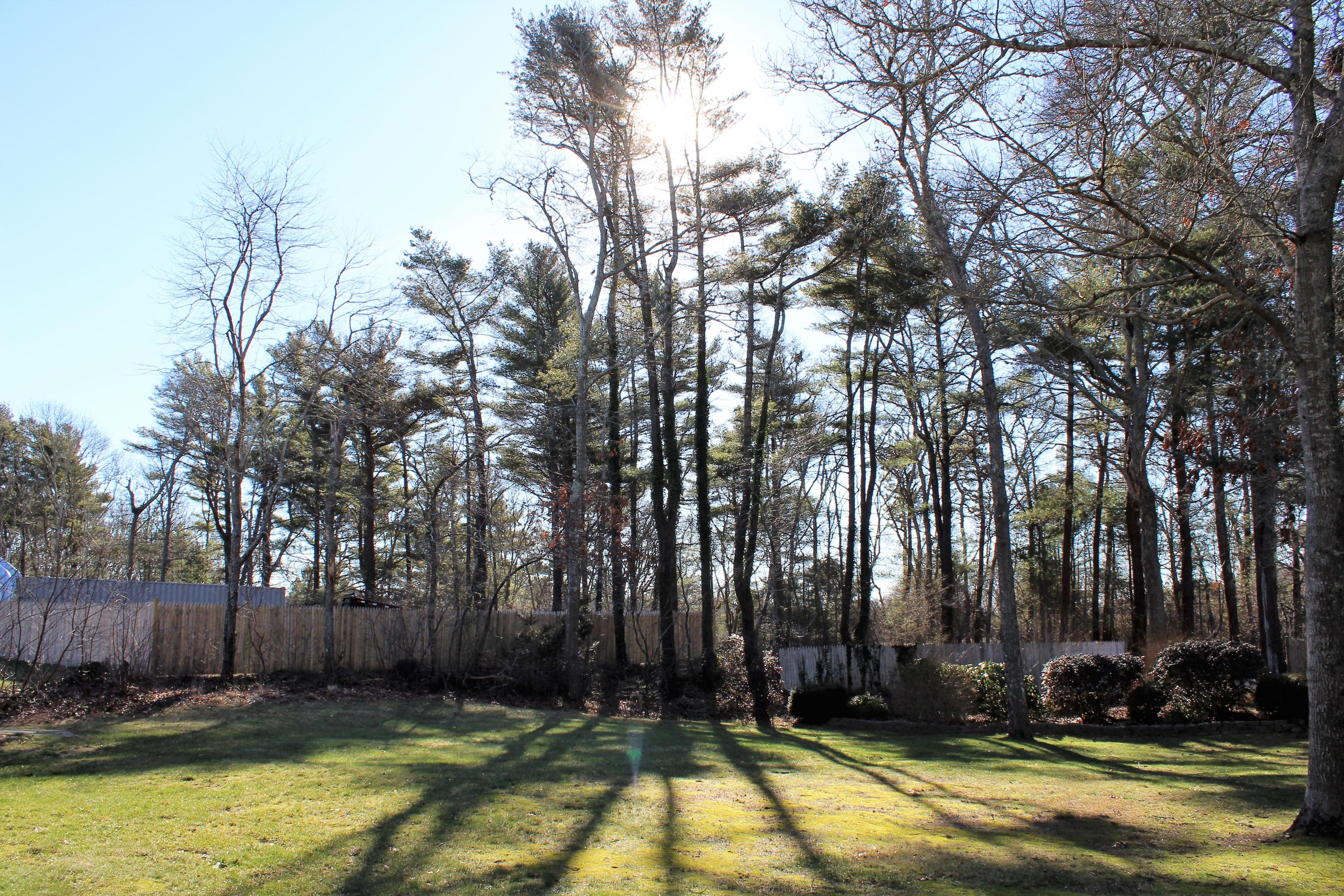 35 Catskill Road Buzzards Bay, MA 02532 - Photo 7 of 43 a view of a backyard with trees