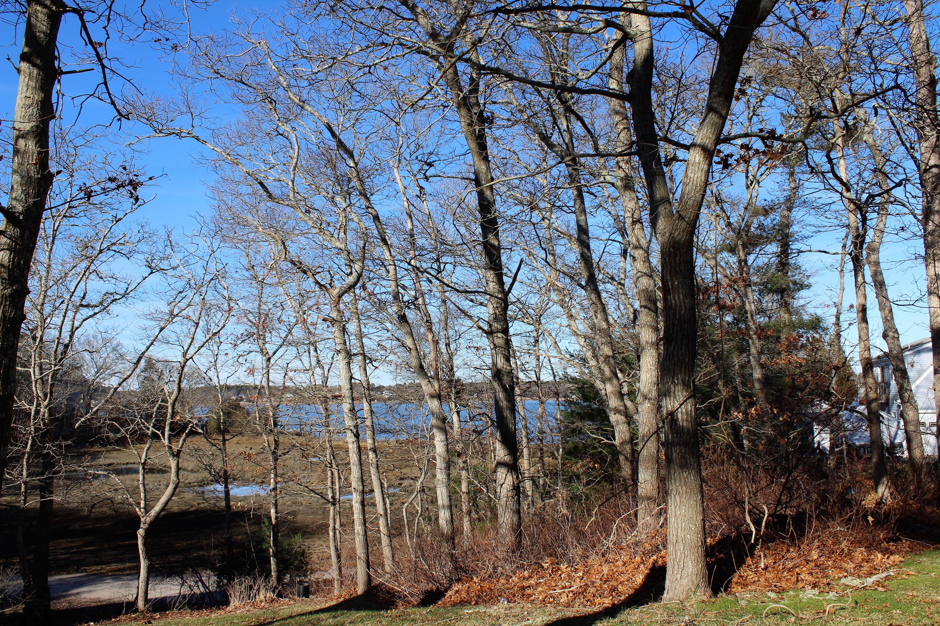 35 Catskill Road Buzzards Bay, MA 02532 - Photo 10 of 43 a backyard of a house with lots of green space