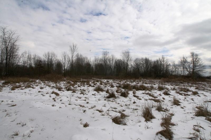 5180 Harlem Road Galena, OH 43021 - Photo 44 of 45 Gallery Image 44