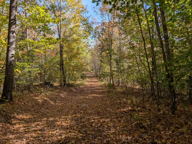 $298,000 | 0 Gibbs Mill Road, Livermore, ME 04253